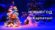 Закарпатье: Новогодний Автобусный тур из Одессы 5 дней/4 ночи от 2650 грн.