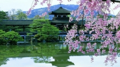 Япония - Отдых на Майские Праздники "Золотая Неделя в Японии"